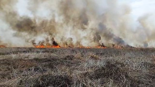 La Justicia Federal condenó a dos de los tres imputados por los incendios en el Delta que habían sido detenidos en agosto de 2021 La Justicia Federal condenó a dos de los tres imputados por los incendios en el Delta que habían sido detenidos en agosto de 2021