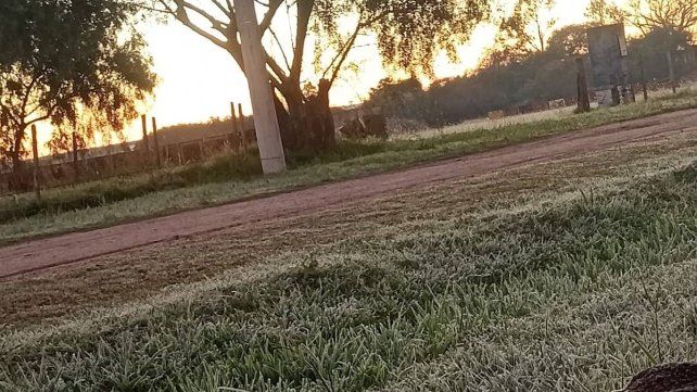 Jueves helado en Entre Ríos: no hay anuncio de lluvias Imágenes de Colonia Crespo Jueves helado en Entre Ríos: no hay anuncio de lluvias Imágenes de Colonia Crespo