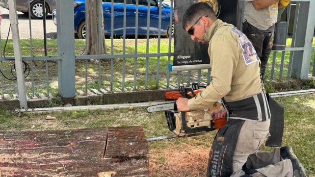 Fiesta de la Artesanía en Colón: el Patio de Tallistas es uno de los grandes atractivos Fiesta de la Artesanía en Colón: el Patio de Tallistas es uno de los grandes atractivos