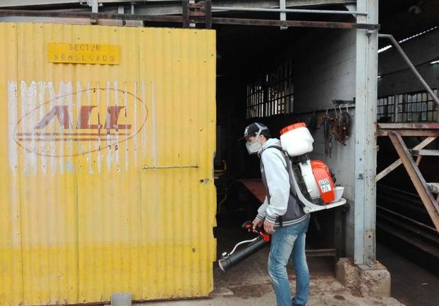 En Concordia buscan prevenir el dengue y chikungunya.