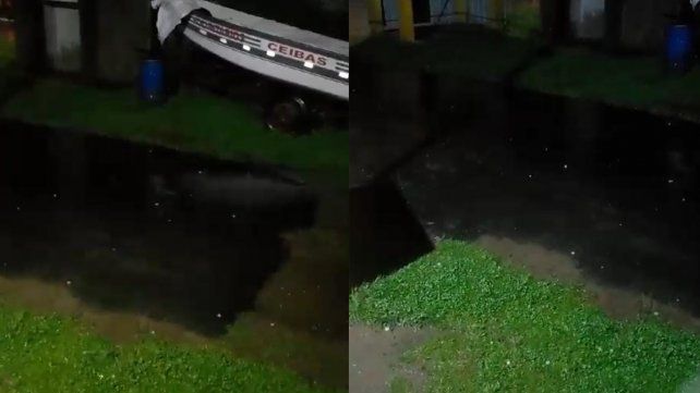 El sur entrerriano se vio afectado por lluvias intermitentes y caída de granizo. Bomberos Voluntarios de Ceibas enviaron imágenes a UNO El sur entrerriano se vio afectado por lluvias intermitentes y caída de granizo. Bomberos Voluntarios de Ceibas enviaron imágenes a UNO