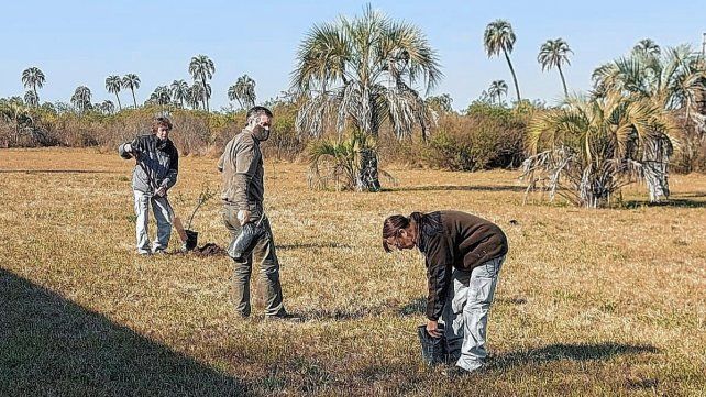 Trabajando. Todos los días se realizan tareas de mantenimiento.