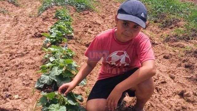 Francisco, el niño de Concordia que cumplió el sueño de sembrar sandías