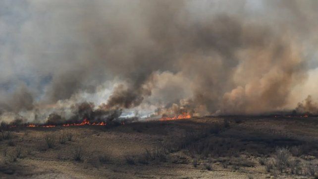 Incendios en el Delta: revocan el sobreseimiento de Rufino Baggio y 42 imputados. Incendios en el Delta: revocan el sobreseimiento de Rufino Baggio y 42 imputados.