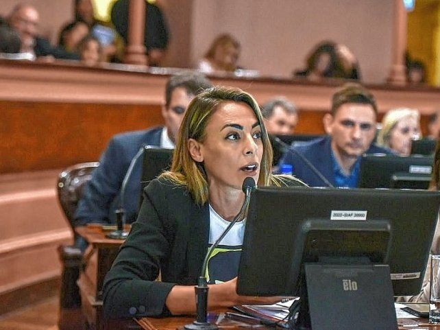 Lorena Arrozogaray es la autora del proyecto presentado esta semana en Diputados