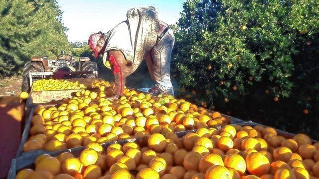 Hay alerta en Concordia y Federación. Hay alerta en Concordia y Federación. 