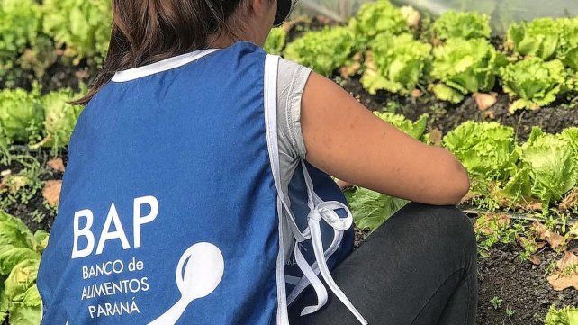 El Banco de Alimentos trabaja hace tres años en Paraná