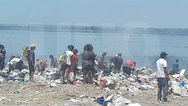 Paraná: en 2024 la ONG No Más T.A.S. rescató 33 caballos Paraná: en 2024 la ONG No Más T.A.S. rescató 33 caballos