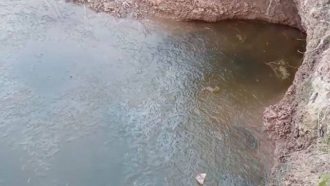 Entre Ríos bajo cero: por las bajas temperaturas se congeló un arroyo en Valle María Entre Ríos bajo cero: por las bajas temperaturas se congeló un arroyo en Valle María