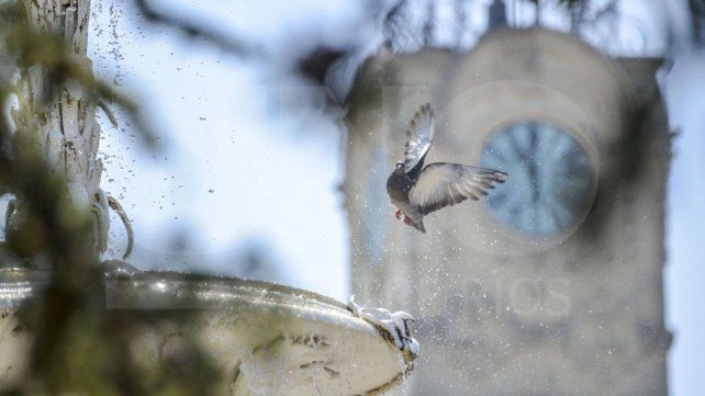 Entre Ríos inicia la semana con tiempo estable, mañanas frescas y tardes templadas. Este lunes se espera cielo despejado a parcialmente nublado Entre Ríos inicia la semana con tiempo estable, mañanas frescas y tardes templadas. Este lunes se espera cielo despejado a parcialmente nublado