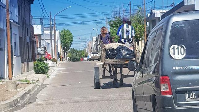 Peligros. Además de la explotación animal, buscan disminuir los riesgos en el tránsito. Peligros. Además de la explotación animal, buscan disminuir los riesgos en el tránsito.