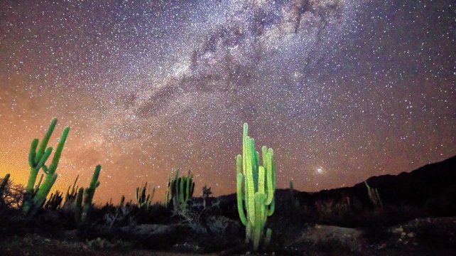 Postales únicas de América que ofrece la Ruta 40.