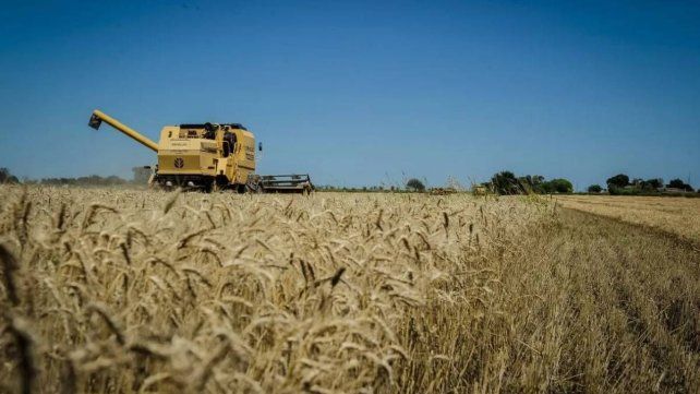 Entre Ríos: las exportaciones crecieron 47 por ciento en 2025 Entre Ríos: las exportaciones crecieron 47 por ciento en 2025