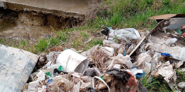 Limpieza. Sorprende el resultado del trabajo de un rato.