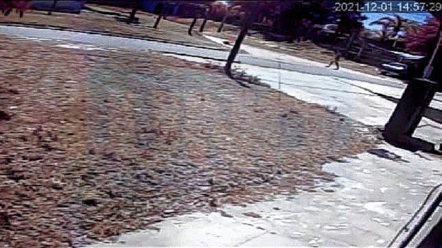 Video. En la imagen se aprecia cómo la víctima cae baleada, y el matador camina y sigue disparando.