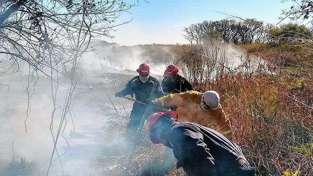 Para recuperar el suelo afectado por las quemas, la Provincia hará un plan de trabajos con la UNL