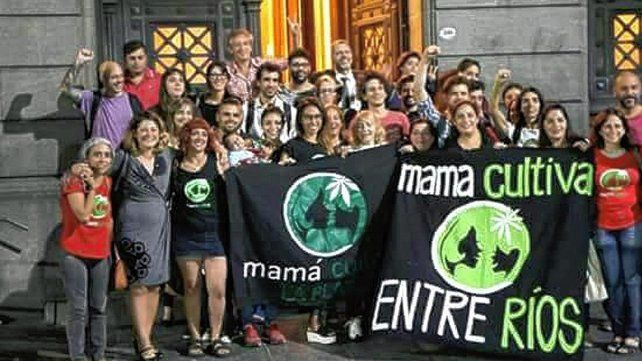 Autocultivo de cannabis medicinal: esperan por apertura de registro provincial