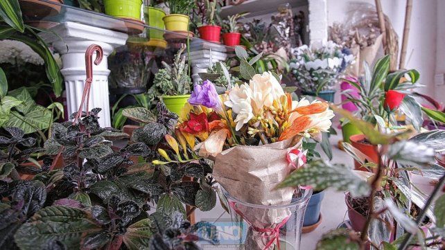 En primevera crece la venta de flores En primevera crece la venta de flores