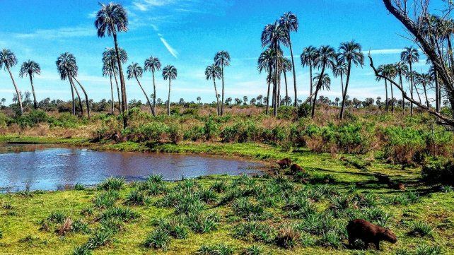 El Palmar adhiere a la medida de fuerza de Parques Nacionales del país El Palmar adhiere a la medida de fuerza de Parques Nacionales del país