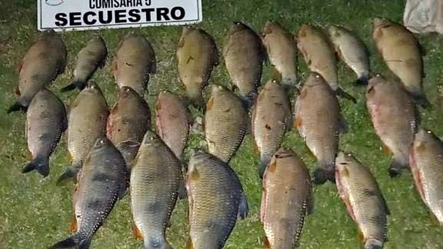 Solicitan mayores controles en Concordia. Solicitan mayores controles en Concordia.