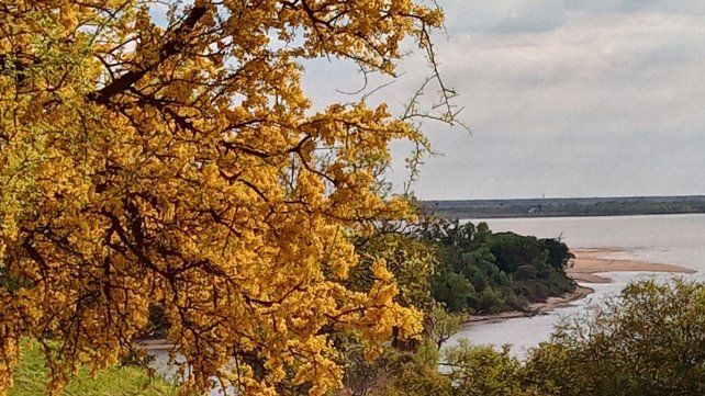 El Patito Sirirí ofrece un regalo de chañares y río. Promesa de nidos y glicinas para el Día de la Conciencia Ambiental