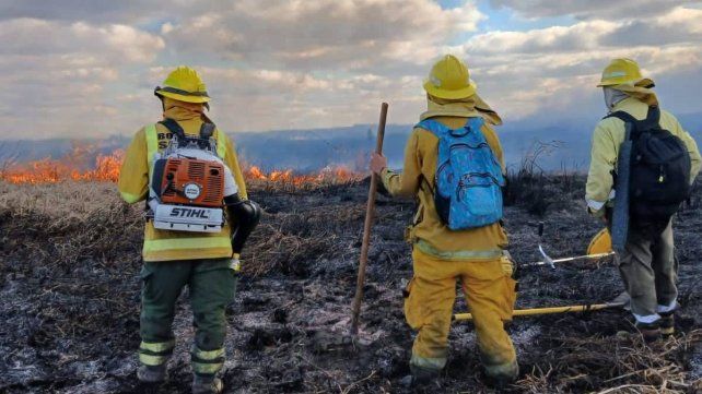 Entre Ríos, Santa Fe y Buenos Aires coordinaron un protocolo de acción Entre Ríos, Santa Fe y Buenos Aires coordinaron un protocolo de acción