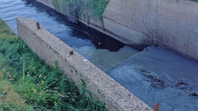 La empresa arrojó líquidos al río Uruguay.
