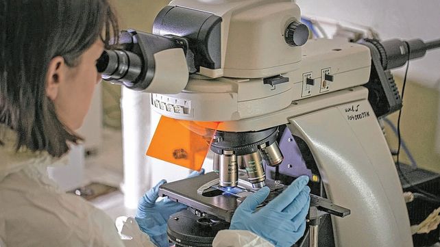 Objetivo. La investigación binacional (Argentina e India) procura asistir en la búsqueda de fármacos y terapias que tengan como blanco esta vía de señalización celular.