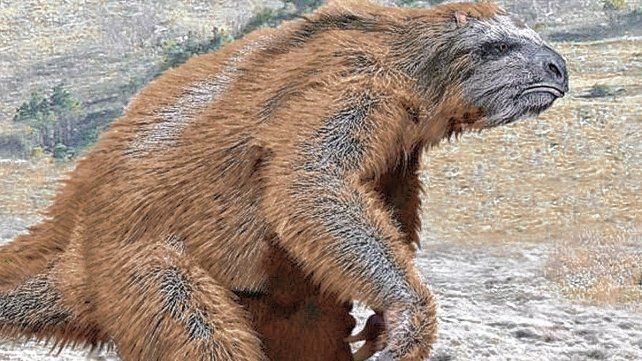 Jujuy: desentierran restos fósiles de un perezoso gigante