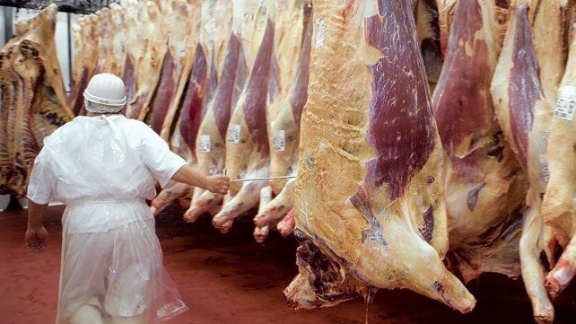 Exportación de Carne: la industria espera buenas noticias