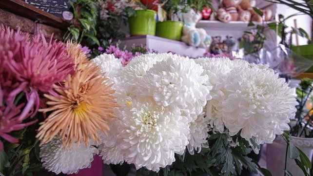 En el Día de los Fieles Difuntos se acostumbra a llevar flores al cementerio En el Día de los Fieles Difuntos se acostumbra a llevar flores al cementerio
