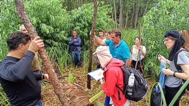La inspección judicial en el delta recorrió distintos lugares del delta donde testigos ubican los vuelos de la muerte.