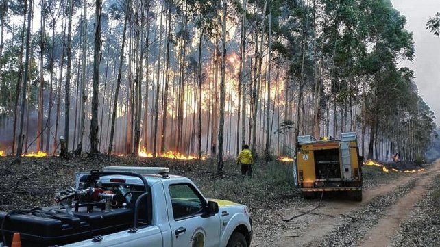 Fuerte descargo de Bomberos al Estado.