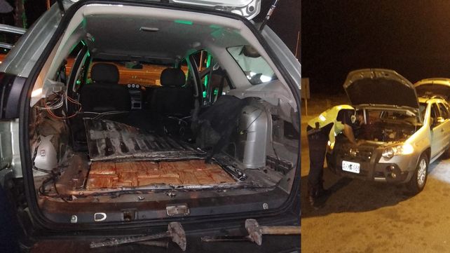 marihuana-paso-cerrito-3jpg