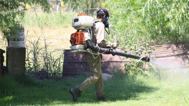 Volvió el dengue y refuerzan acciones de control y prevención 