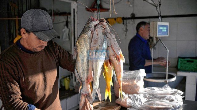 Pescadores artesanales sostienen que la pesca mermó en un 70% y que especies como la tararira son difíciles de conseguir. Semana Santa con precios por las nubes