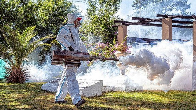 Insisten en la fumigación en Concordia. Insisten en la fumigación en Concordia.