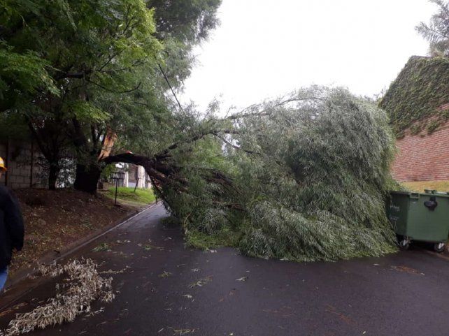 El temporal en Paraná