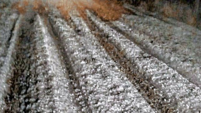 El granizo registrado en el norte entrerriano. El granizo registrado en el norte entrerriano.