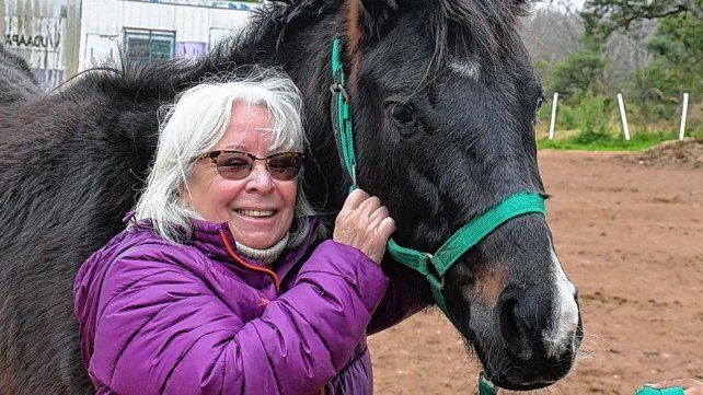 Equinos recuperados en Concordia.