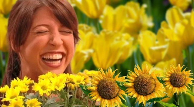 La serie Floricienta convirtió las flores amarillas en un fenómeno cultural La serie Floricienta convirtió las flores amarillas en un fenómeno cultural