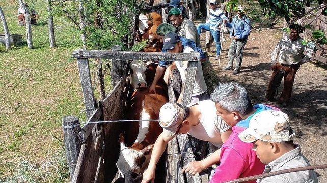 El hecho ocurrió el lunes en las instalaciones de la Sociedad Rural de Feliciano, en el norte entrerriano