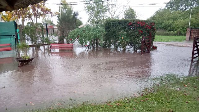 Anegamientos en Sauce Montrull producto de la intensa lluvia. Anegamientos en Sauce Montrull producto de la intensa lluvia.