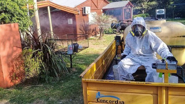 En Concordia trabajan para prevenir el dengue.