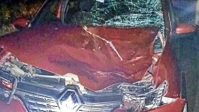 Tras el impacto el equino murió en el acto. Tras el impacto el equino murió en el acto.