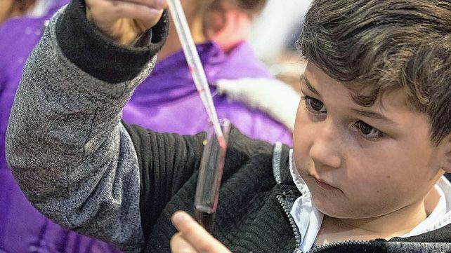 Vocaciones. Las iniciativas buscan la promoción de la cultura científica en todos los ámbitos. Vocaciones. Las iniciativas buscan la promoción de la cultura científica en todos los ámbitos.