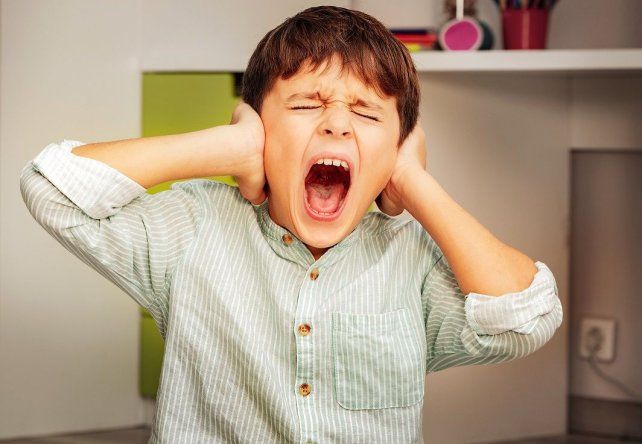 La pirotecnia causa miedo e incluso fuerte dolor físico en personas con autismo La pirotecnia causa miedo e incluso fuerte dolor físico en personas con autismo