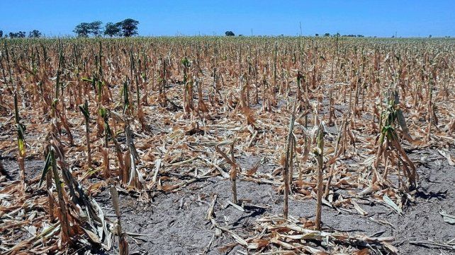 La Niña suele provocar sequía.
