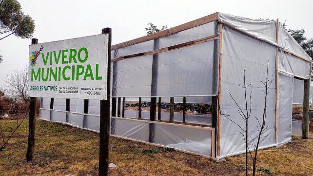 Ya es un realidad el vivero en Ramírez