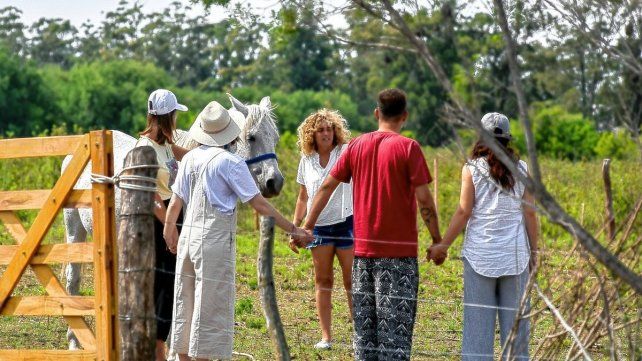 En Camino Animal promueven el propio conocimianto y la sanación a través de un vínculo con los caballos En Camino Animal promueven el propio conocimianto y la sanación a través de un vínculo con los caballos